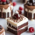 Mini Cake Recipe