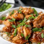 Dump and Go Crockpot Soy Honey Garlic Chicken