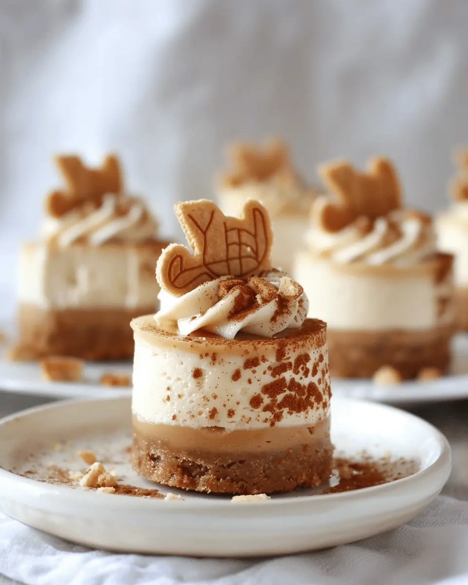 No Bake Mini Lotus Biscoff Cheesecake: Easy Indulgence for All