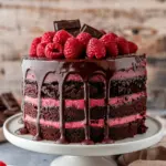 Chocolate Raspberry Cake