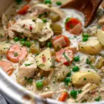 Slow Cooker Garlic Parmesan Chicken Stew