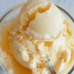 Ninja Creami Orange Julius Ice Cream